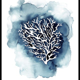 Blue Coral