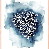 Blue Coral