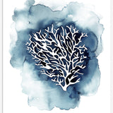 Blue Coral