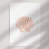 Fan Shell
