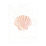 Fan Shell