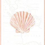 Fan Shell