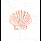 Fan Shell