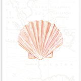 Fan Shell