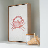 Pink Crab
