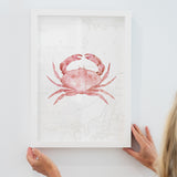 Pink Crab