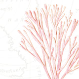Pink Coral