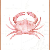 Pink Crab
