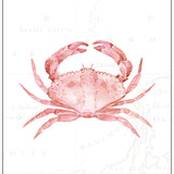 Pink Crab
