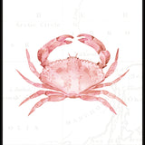 Pink Crab