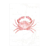 Pink Crab