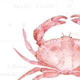 Pink Crab