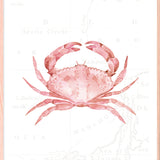 Pink Crab