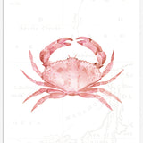 Pink Crab