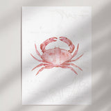 Pink Crab