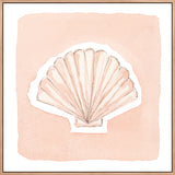 Small Shell