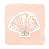 Small Shell