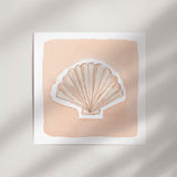 Small Shell