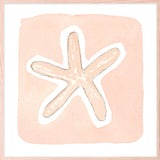 Small Starfish