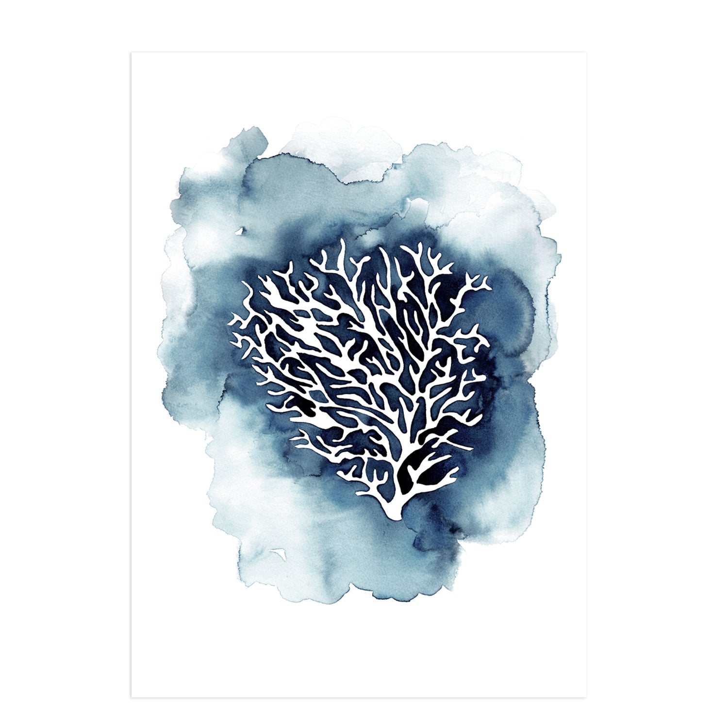 Blue Coral