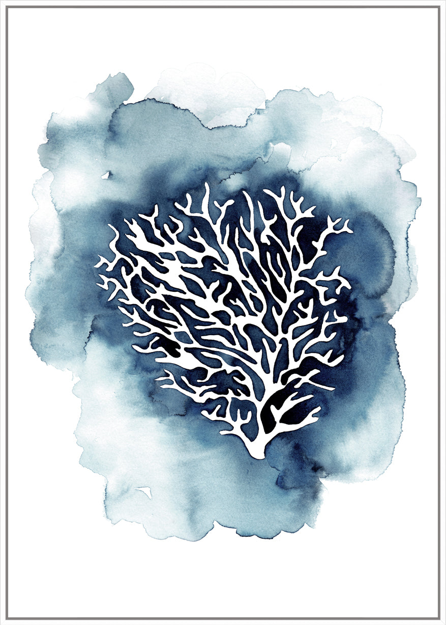 Blue Coral
