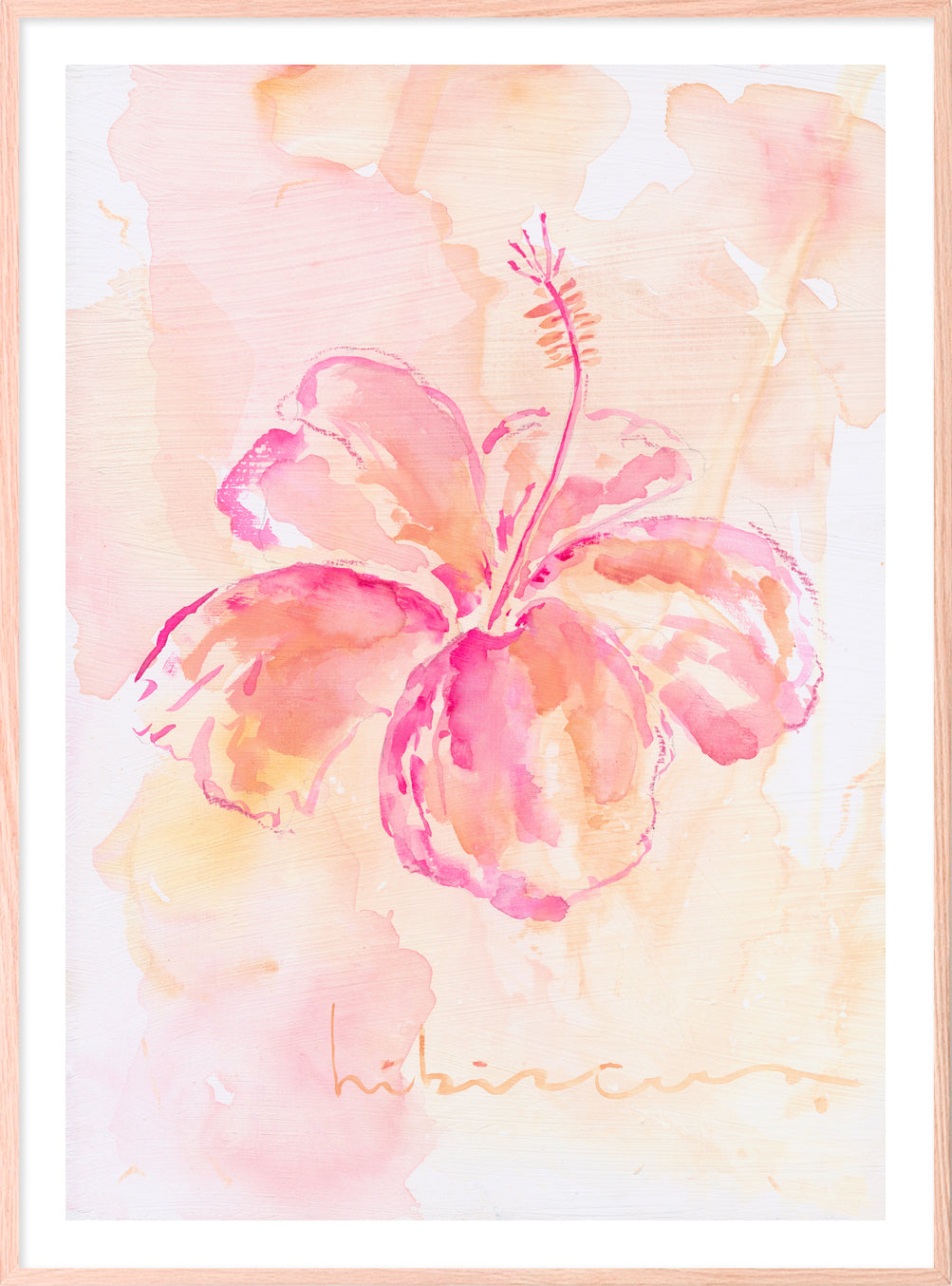 Hibiscus