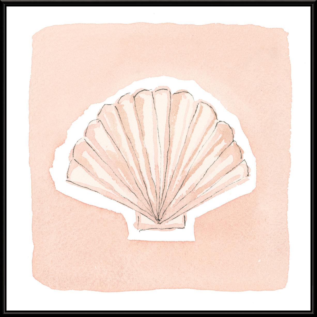 Small Shell