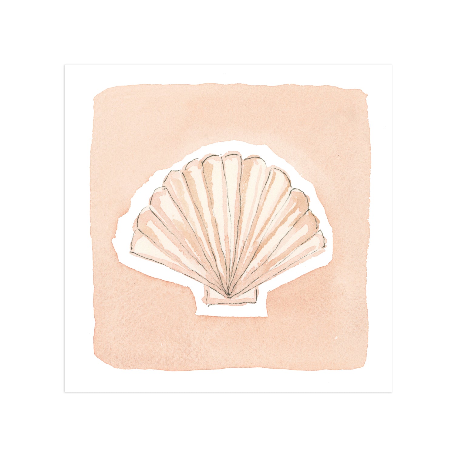 Small Shell