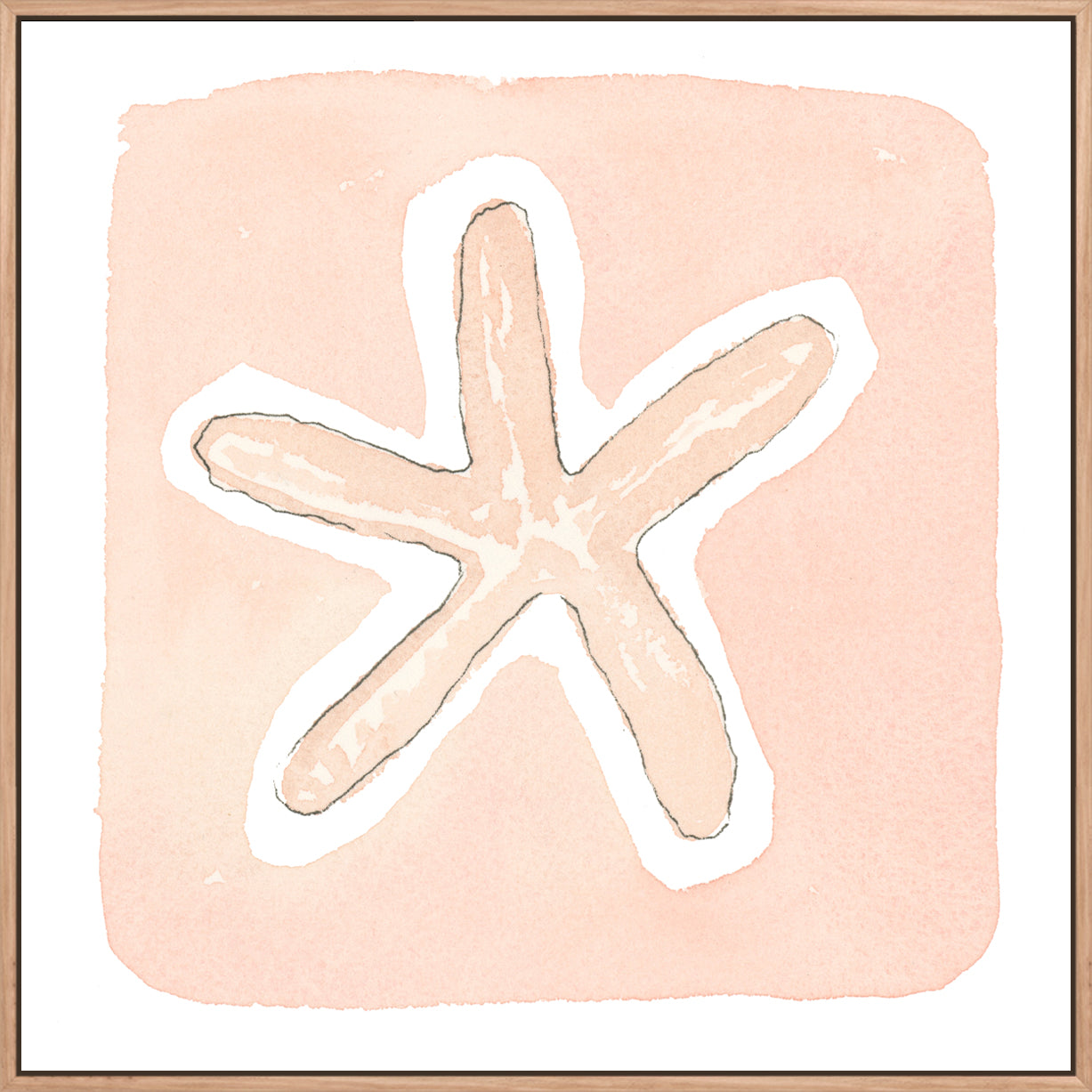 Small Starfish